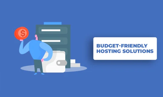Budget-Friendly Hosting Solutions: Affordable Options That Deliver