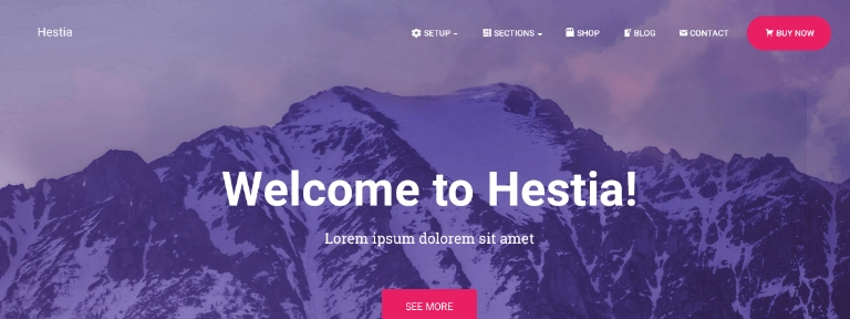 Hestia WordPress Theme