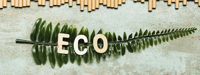 Eco Friendly Web Hosting