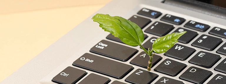 Top Eco Friendly Web Hosting Providers