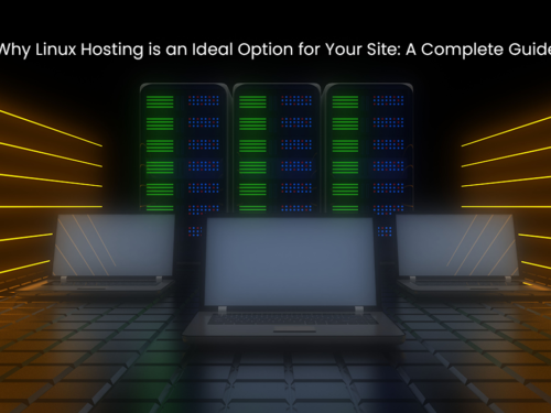 Why Linux Hosting is an Ideal Option for Your Site: A Complete Guide