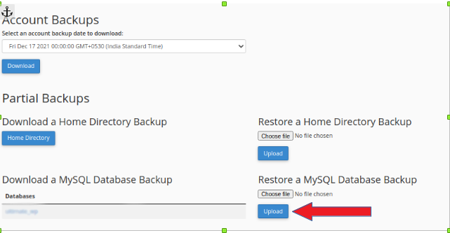 Database Backup In cPanel